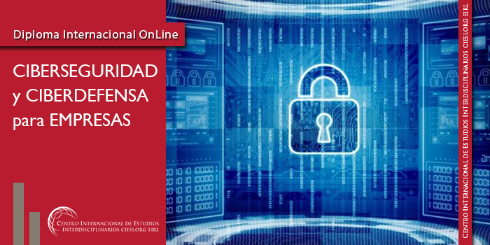 Ciberseguridad y Ciberdefensa para Empresas CIESI ORG EIRL